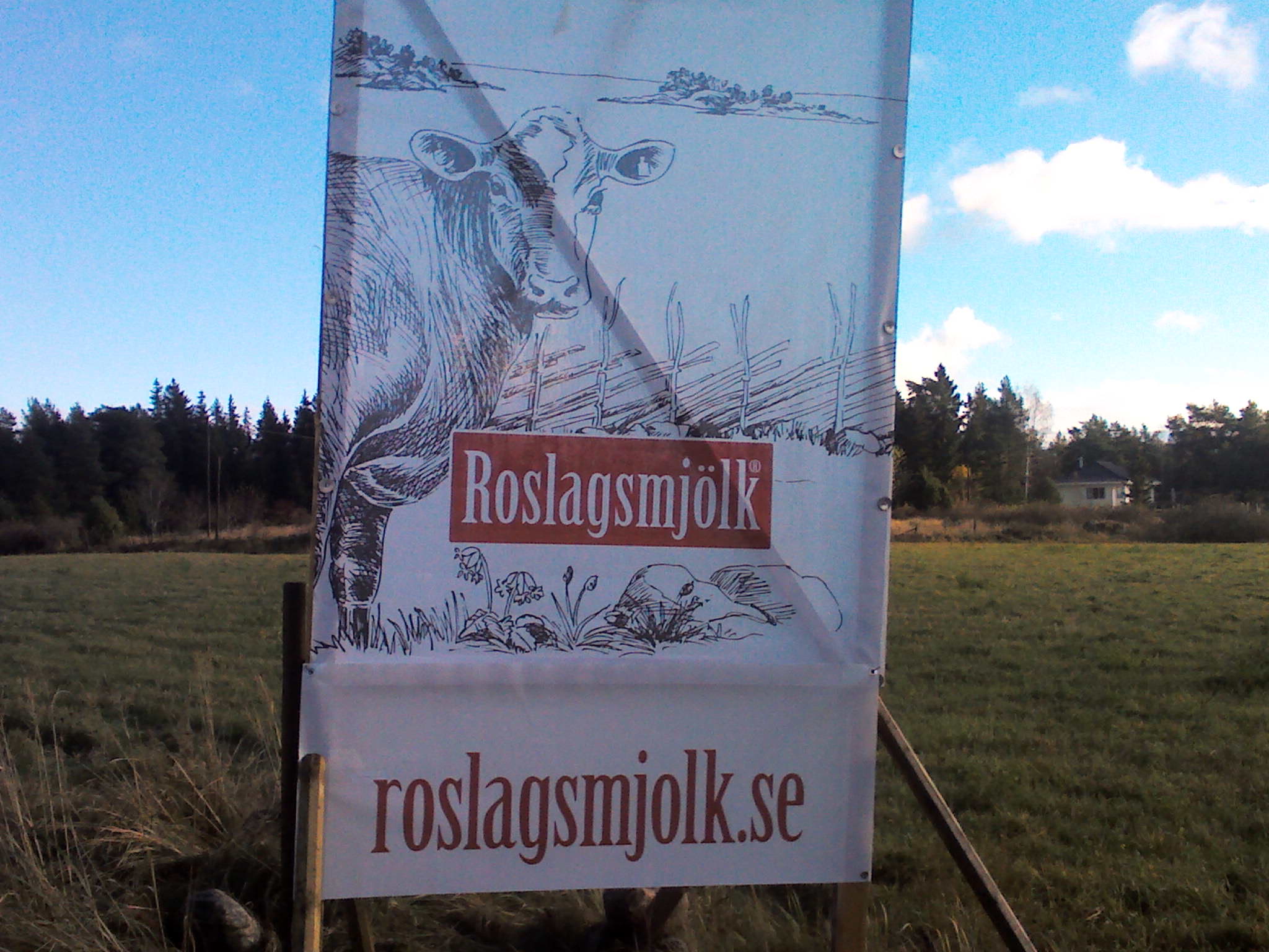 Bönder i Roslagen har gått samman för att producera mjölk i eget regi. Bl.a. ingår Hillarius gårdens kossor i produktionen. 