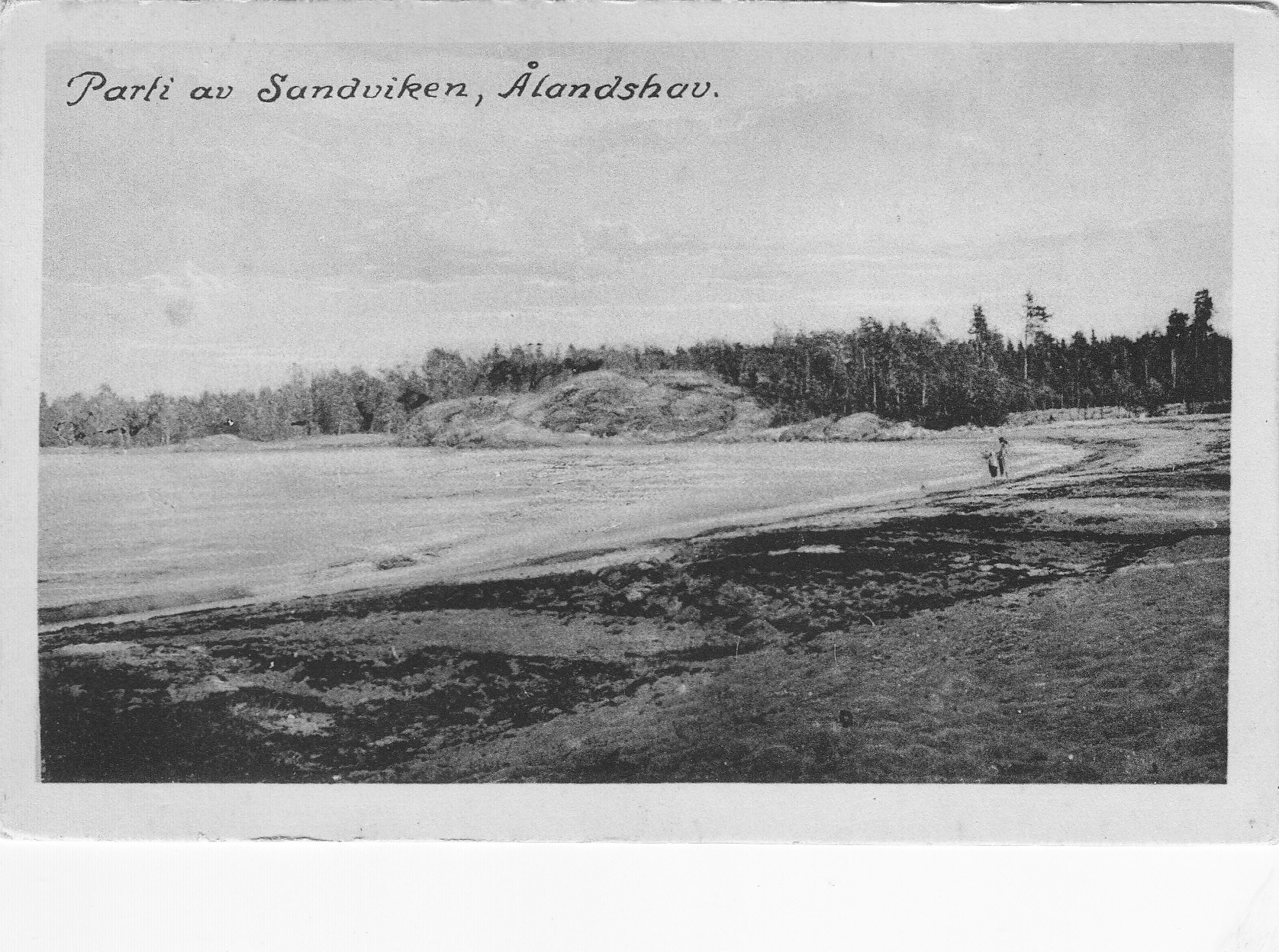 Sandviken_0002